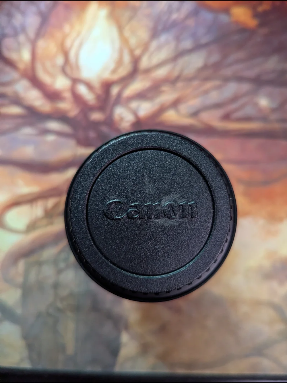 Canon glass perfect